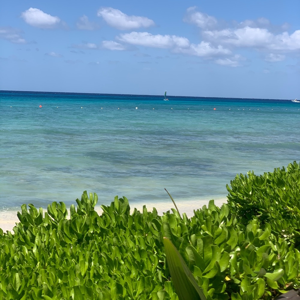 Meet your Posher, Catherine